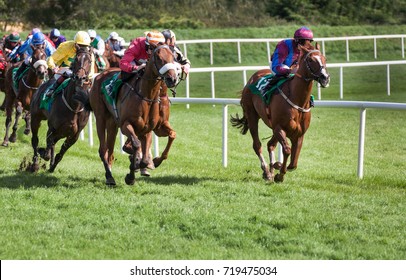 Racehorses And Jockeys Galloping Towards The Finish Line