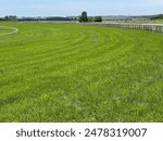 Racetrack grass turf science agriculture 