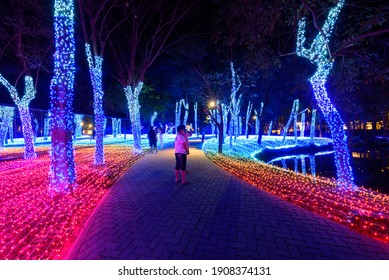 68 Nasatta Light Festival Images, Stock Photos & Vectors 