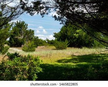 The Rachel Carson Wildlife Preserve