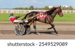 Racing horse trot and rider on a track of racetrack. Competitions for trotting horse racing. Horses compete in harness racing on a sunny day. Trotting horse race. Sport banner