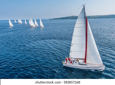 Racing Sail Boat From Bird View, Many Of Sailing Boats In Background