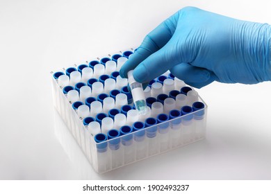 Rack with cryogenic vials for sample collection. Hand of a geneticist technician holding a tube with a biological sample for cryogenic storage - Powered by Shutterstock