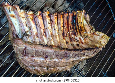 Rack of lamb chops on the bbq