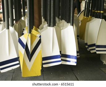 A Rack Of Oars Used For Rowing Crew Are In The Rack, Ready To Be Pulled Out For Rowing. One Set Is Colored Yellow.