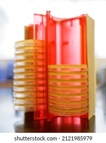 A Rack Of Petri Dishes On A Lab Bench.