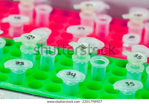 Rack of\
test tubes being used for DNA extraction using the spin\
column-based nucleic acid purification\
technique