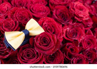 Rad Roses Background With Focus On Yellow Bowtie