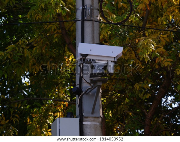 Radar for monitoring the speed of cars. Mounted on\
a pole among the trees.
