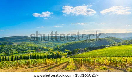 Radda in Chianti vineyard and panorama in autumn. Tuscany, Italy, Europe.