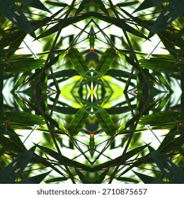 Radiant canopy starburst angular leaf convergence luminous botanical abstraction


