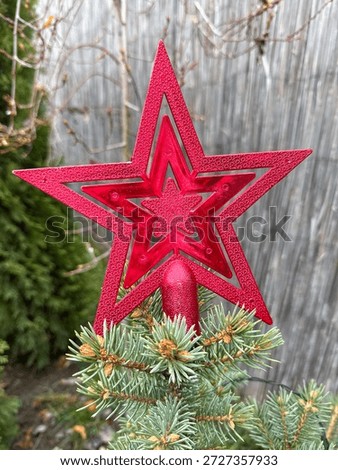 Radiant ruby red star crowns evergreen bough, whispering Yuletide magic, Festivus charm, and celestial Nordic folklores embrace