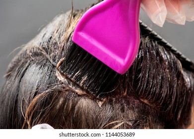 A Radical Change Of Hair Color. Blonde Woman Master Puts Paint On Her Hair