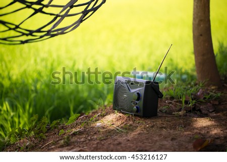 Radio field