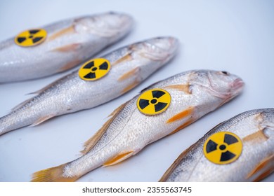 Radioactively contaminated fish. nuclear electric power waste water container radioactive to fish.  Japan starts discharging treated water into the sea. Japan nuclear power plant into the ocean. 