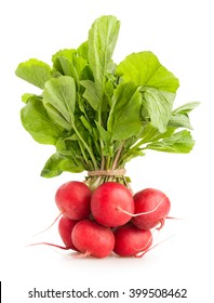 Radish Isolated