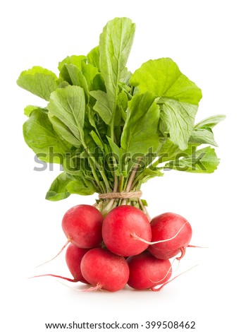 radish isolated