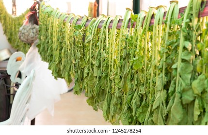 Radish Leaves Drying