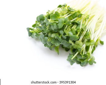 Radish Sprouts