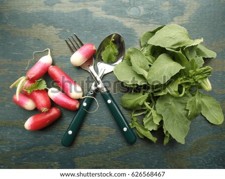 Radish and tops of radish. The concept of using all parts of a plant for food
