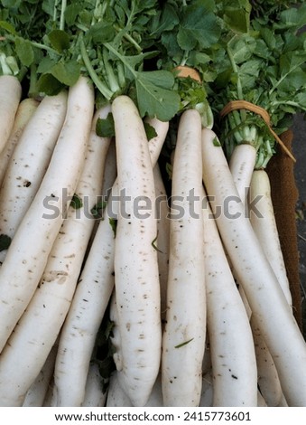 Radish, white radish beautiful closeup short somewhere in Pakistani vegetable market.