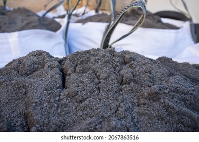 Raffia Large Sack Of Black Topsoil. Selective Focus