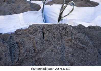 Raffia Large Sack Of Black Topsoil. Selective Focus