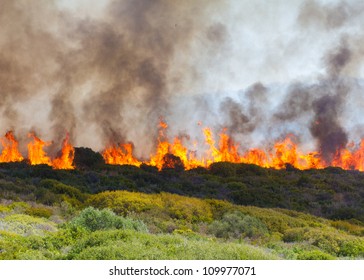 Raging bush fire across the horizon