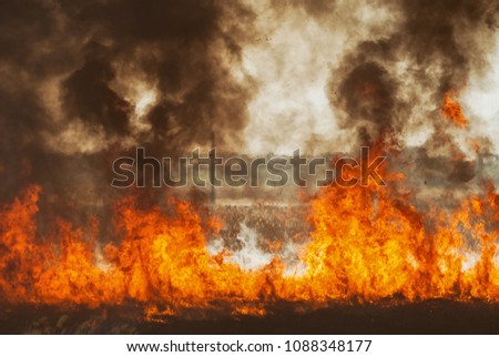 The raging flame of fire burn in the fields, forests and black thick acrid smoke. Big wildfire close-up