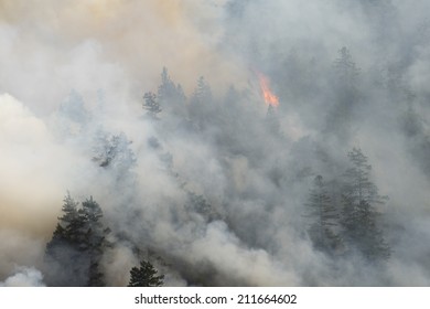 Raging Forest Fire, Northern California