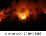 Raging Inferno: The Devastating Forest Fire Engulfing the Himalayas - Witnessing the Unfolding Tragedy and Environmental Impact of Nature