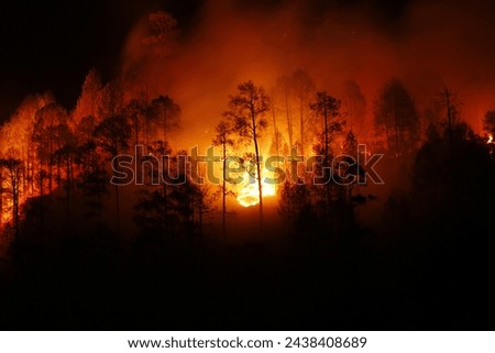 Raging Inferno: The Devastating Forest Fire Engulfing the Himalayas - Witnessing the Unfolding Tragedy and Environmental Impact of Nature's Wrath in the Heart of the Mountains"