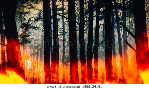 Raging pinewood\
forest fire - digital\
composite.