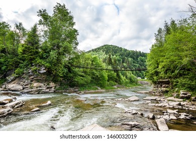 Raging river in the forest