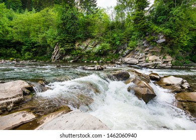 Raging river in the forest