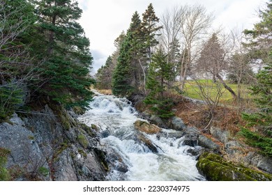 A raging river of white rapids and waterfalls with tall evergreen trees on both sides. The stream is enclosed by large boulders or rock formations with dead read leaves and moss covering greenery.  