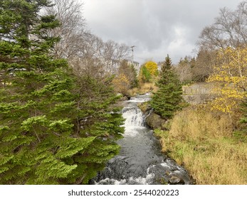 A raging river of white rapids and waterfalls with tall evergreen trees on both sides. The stream is enclosed by large boulders or rock formations with autumn leaves and moss covering greenery.  - Powered by Shutterstock