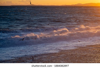 Raging Sea Breaking On Nice Beach In Winter