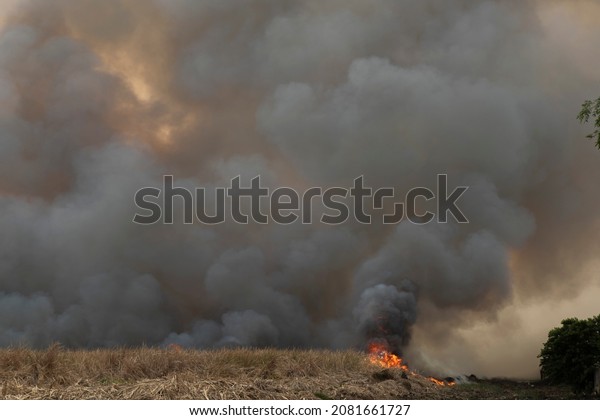 raging smoke pattern background of fire burn in\
grass fields, forests and black and white smoke to sky. Big\
wildfire close-up. pollution in air concept. wildfire make to smoke\
bush pollution in world.