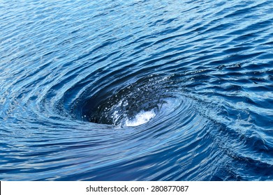 The raging whirlpool
