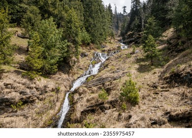 Rahala Falls in Manali , Himachal Pradesh