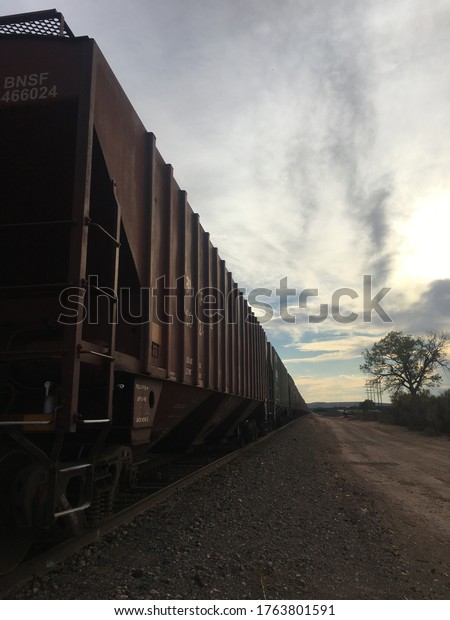 Rail cars and tree at\
sunset