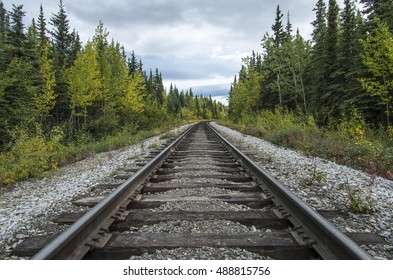 Rail road in a forest - Powered by Shutterstock