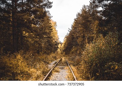 rail road Golden forest autumn scenery