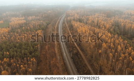 Rail tracks cutting through deep green forest