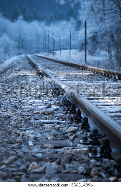 Rail tracks in winter\
