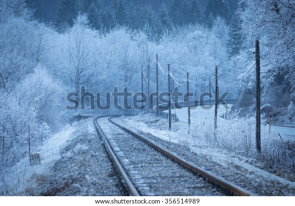 Rail tracks in winter\
