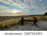 Railcar Wheels On A Sunny Morning