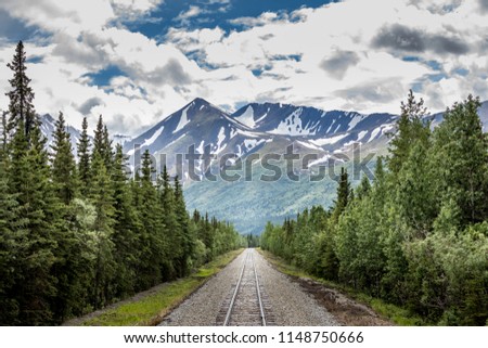 Railroad in the alaskan wilderness 