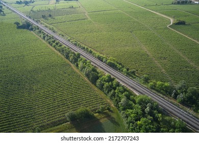 Railroad between vineyards diagonally aerial view. Transportation railway in Italy drone view.